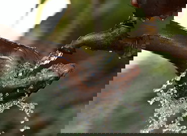 体育场馆金融模式创新